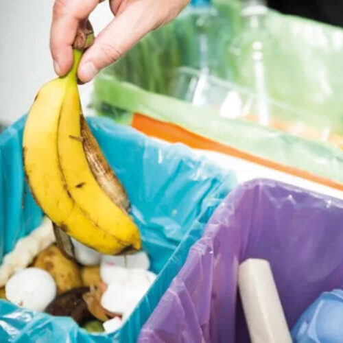 Ecodor Odorshield (концентрат)